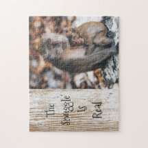 O Movimento É Abraçar Macacos-Pais.