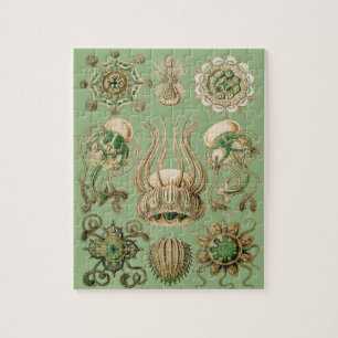 Quebra-cabeça O Narcomedusae de Ernst Haeckel