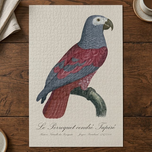 Quebra-cabeça O papagaio cinza Tapire (African Grey Parrot Red Factor Psittacus Erithacus. Jigsaw Puzzle)