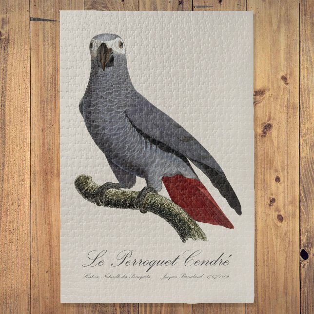 Quebra-cabeça O Papagaio Cinzento - ilustração do século XIX (Le Perroquet Cendre - 19th century illustration. Jigsaw Puzzle)