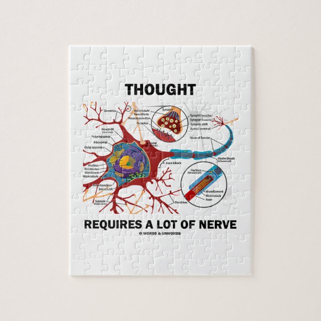 Quebra-cabeça O pensamento exige muito nervo (neurônio/sinapse) (Vertical)