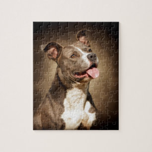 Quebra-cabeça O pitbull azul americano