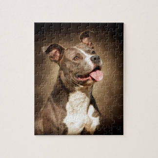 Quebra-cabeça O pitbull azul americano