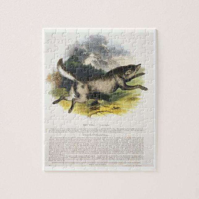 Quebra-cabeça O plutônio educacional da ilustração do lobo (Vertical)