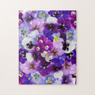 Quebra-cabeça O primavera bonito dos Pansies floresce o