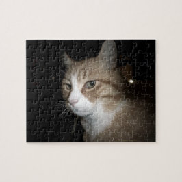 Quebra-cabeça O que ele está pensando?