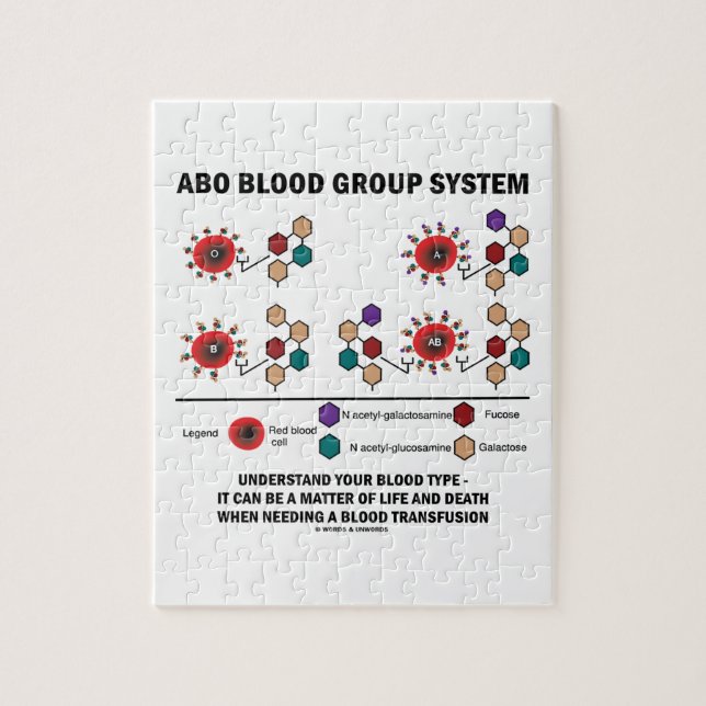 Quebra-cabeça O sistema do grupo sanguíneo de ABO compreende o (Vertical)