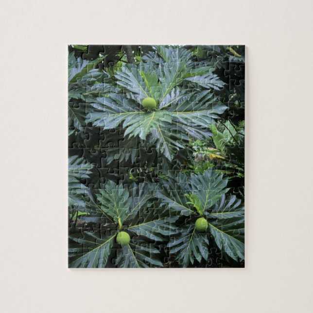 Quebra-cabeça Oceânia, Pacífico Sul, Polinésia Francesa, (Vertical)