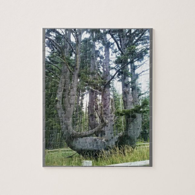 Quebra-cabeça Octopus Tree, Cape Meares, Oregon (Vertical)
