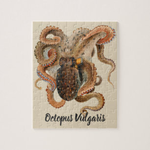 Quebra-cabeça Octopus Vulgaris, Animais de Vida Marinha Antigos