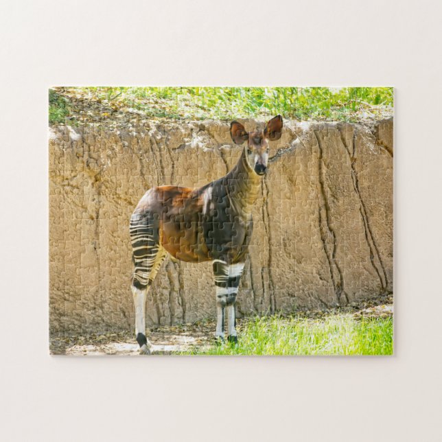 Quebra-cabeça Okapi (Horizontal)