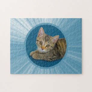 Quebra-cabeça Olá, querida, gatinho fofo