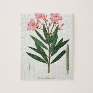 Quebra-cabeça Oleander de "Phytographie Medicale" pelo Ro de