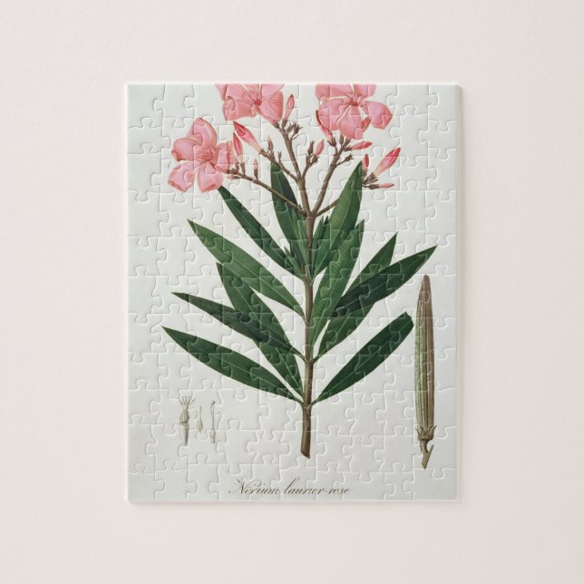 Quebra-cabeça Oleander de "Phytographie Medicale" pelo Ro de (Vertical)