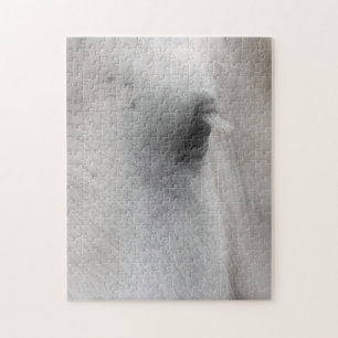 Quebra-cabeça Olho de Cavalo Branco