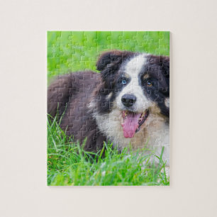 Quebra-cabeça Olho impar border collie que encontra-se em