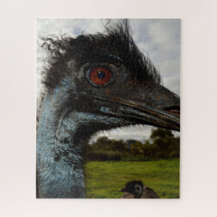 Quebra-cabeça Olhos Brilhantes Emu Australiano,