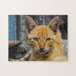 Quebra-cabeça Olhos de ouro