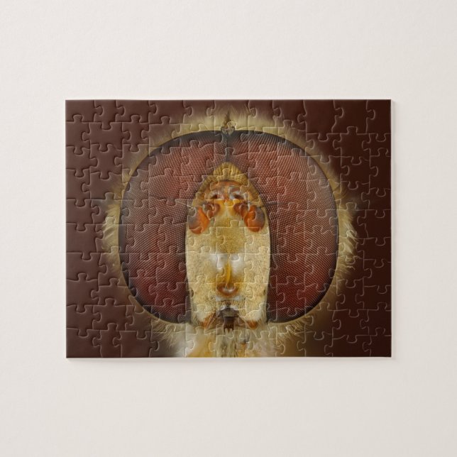 Quebra-cabeça Olhos principais e compostos de uma mosca do pairo (Horizontal)