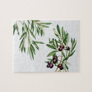 Quebra-cabeça Olive Folha da Grécia Mediterrânica 