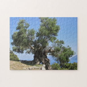 Quebra-cabeça Oliveira grega (Kefalonia)