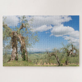 Quebra-cabeça Oliveiras velhas numa paisagem da Toscana
