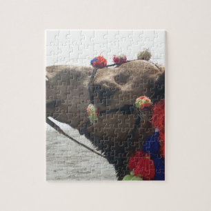 Quebra-cabeça Oman Muscat Camel Photo Art Impressão
