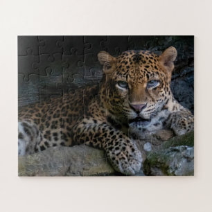 Quebra-cabeça Onça Pintada Animal Selvagem