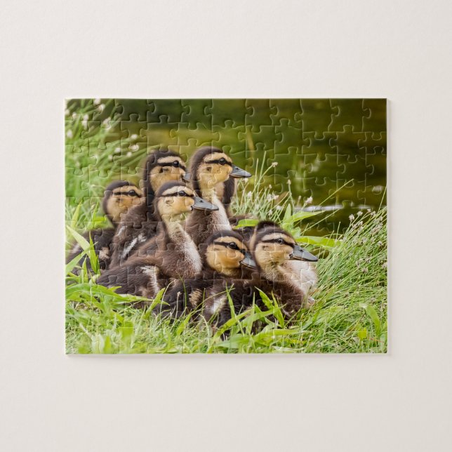 Quebra-cabeça Onde está a mãe? (Horizontal)