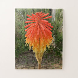 Quebra-cabeça Orange and Yellow Flower