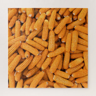 Quebra-cabeça Orange Corn Cob: Colheita de Fundo Agrícola