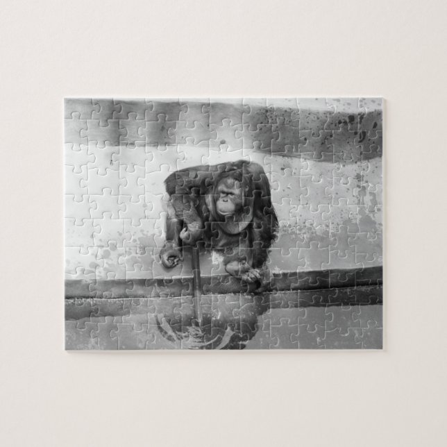 Quebra-cabeça Orangotango (Horizontal)