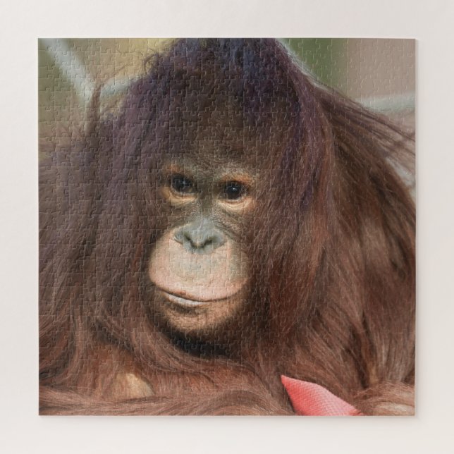 Quebra-cabeça Orangutan Kayan (Vertical)