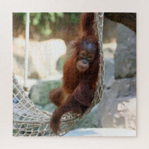 Quebra-cabeça OranguUtan 2020-03-01