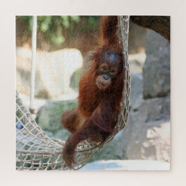 Quebra-cabeça OranguUtan 2020-03-01 (Vertical)