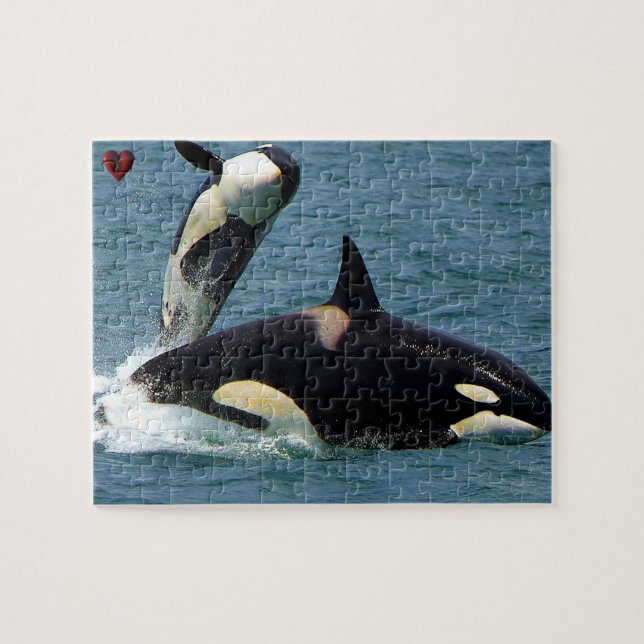 Quebra-cabeça Orca Baleias Assassinas ou Orcas de Jigsaw (Horizontal)