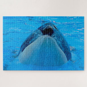 Quebra-cabeça Orca ou Baleia Assassina Jigsaw Puzzle