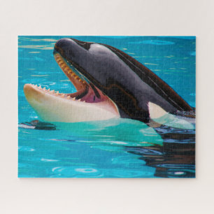 Quebra-cabeça Orcas das serras de vaivém ou baleias de assassin