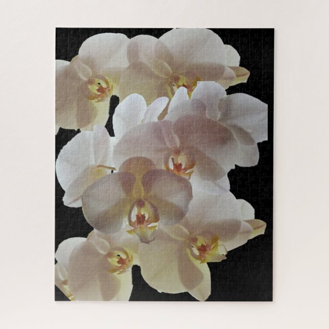 QUEBRA-CABEÇA ORCHID BRANCO (Vertical)