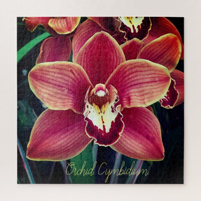 Quebra-cabeça Orchid. Cymbidium (Vertical)