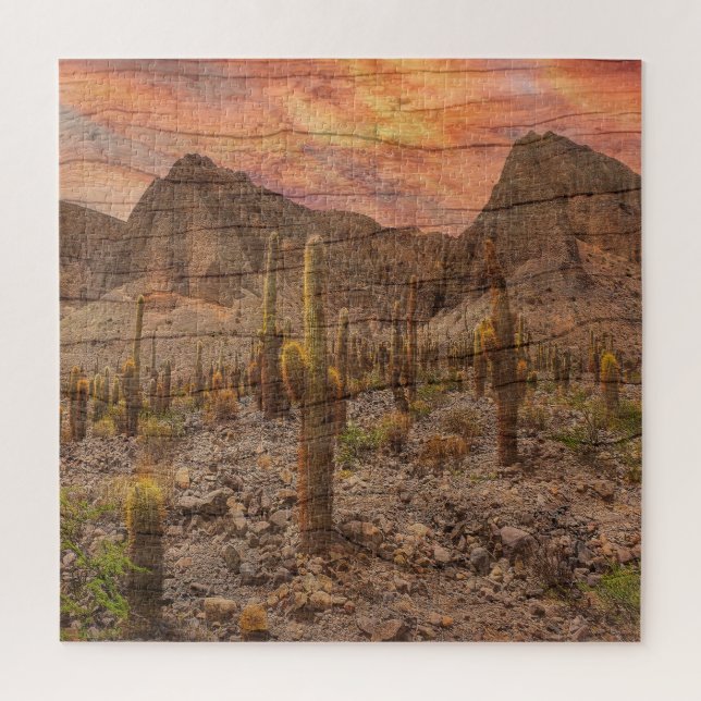 Quebra-cabeça Organ Pipe Cactus On Wood Grain Sunset Photo (Vertical)