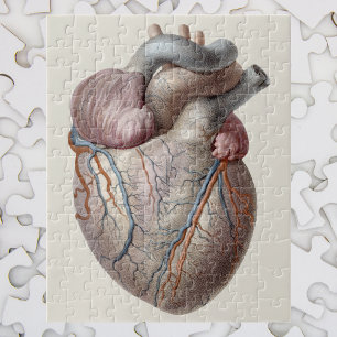 Quebra-cabeça Órgãos humanos do coração da anatomia do vinta