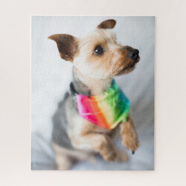 Quebra-cabeça Orgulho gay Rainbow Dog | Yorkshire Terrier (Vertical)