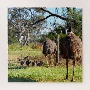Quebra-cabeça Orgulhosos Pais De Emu Com Pintinhos,