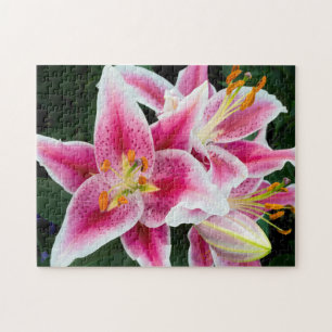Quebra-cabeça Oriental Lily Closeup em Bloom de Cheio
