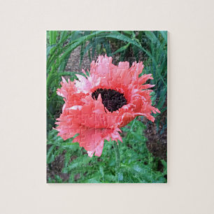 Quebra-cabeça Oriental POPPY "Pink Ruffles" —
