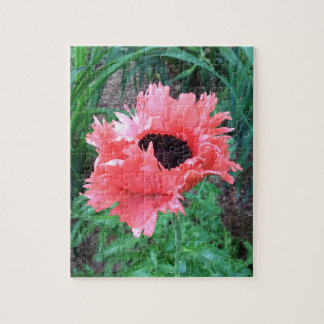 Quebra-cabeça Oriental POPPY "Pink Ruffles" —