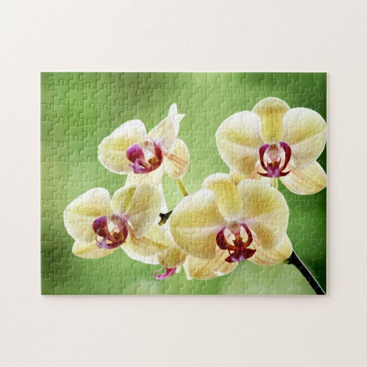 Quebra-cabeça Orquídea amarela e cor-de-rosa floral | Zazzle.com.br
