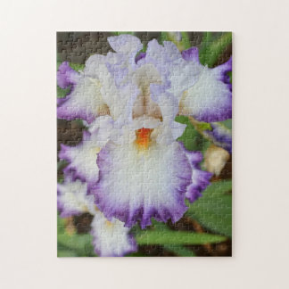 quebra-cabeça - Orquídea Branca de Semente Roxa