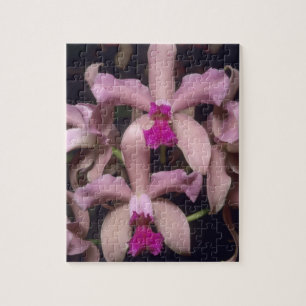 Quebra-cabeça Orquídea, (Cattleya amethystoglossa), Leste
